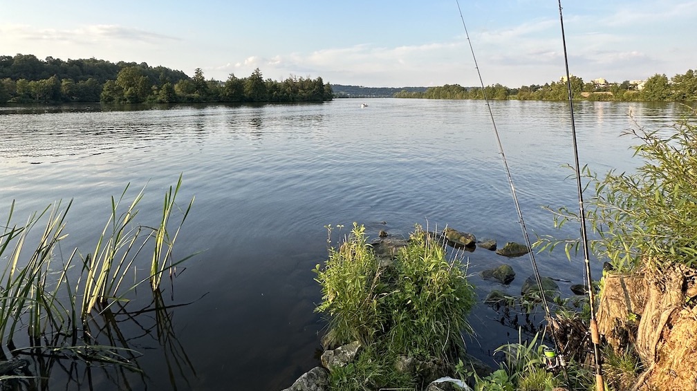 Angeln in unserem Hausgewässer an der Naab